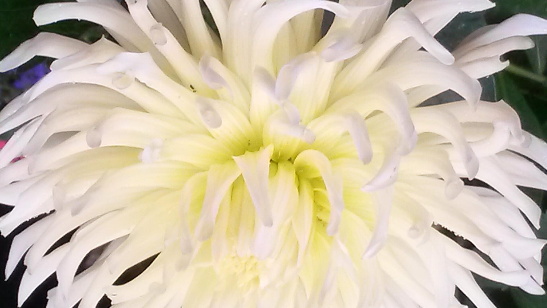 20140806_162927.jpg